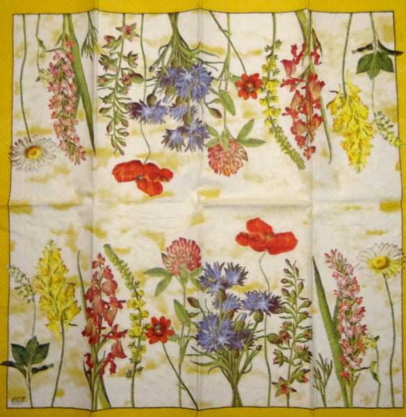 056 Daffodils - 3-ply (yellow) - Ihr